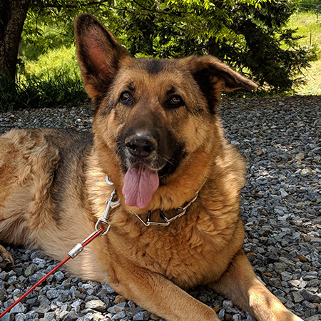 Kaia